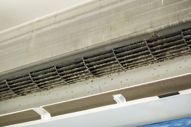Best Air Duct Cleaning Near Me  in Hightstown, NJ